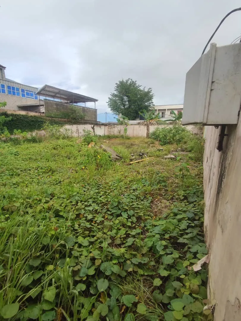 TERRAIN COMMERCIAL A VENDRE DOUALA KOTTO 300M2 BORDURE GOUDRON — Léa immobilier au Cameroun