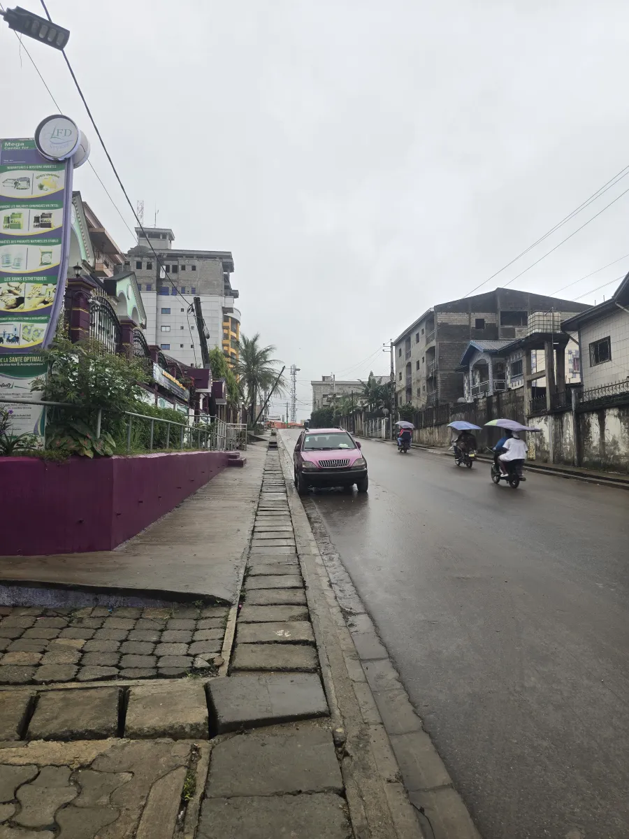 Terrain titré à vendre à kotto résidentiel commercial 588m2 — Léa immobilier au Cameroun