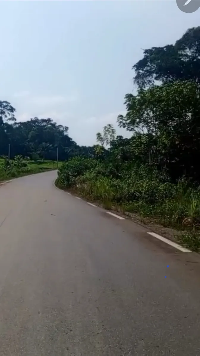 Terrain titré à vendre à kribi à 20 minutes du cette ville superficie 9461m2 au Cameroun