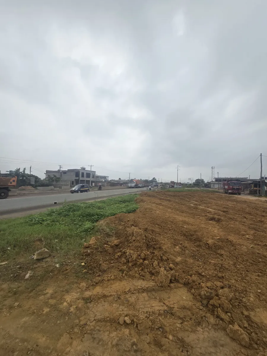 Terrain commercial titré à vendre   yassa avant le pont de la dibamba bordure du goudron en pleine boulevard de la route nationale numéro 3. Superficie 1 hectares 6000m2 au Cameroun