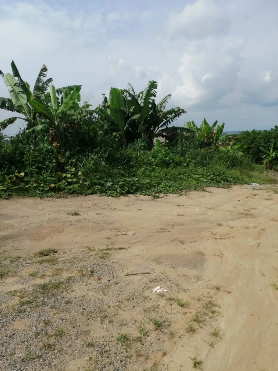 Terrain titré à vendre yassa bwang bakoko douala horizon 493m2 au Cameroun
