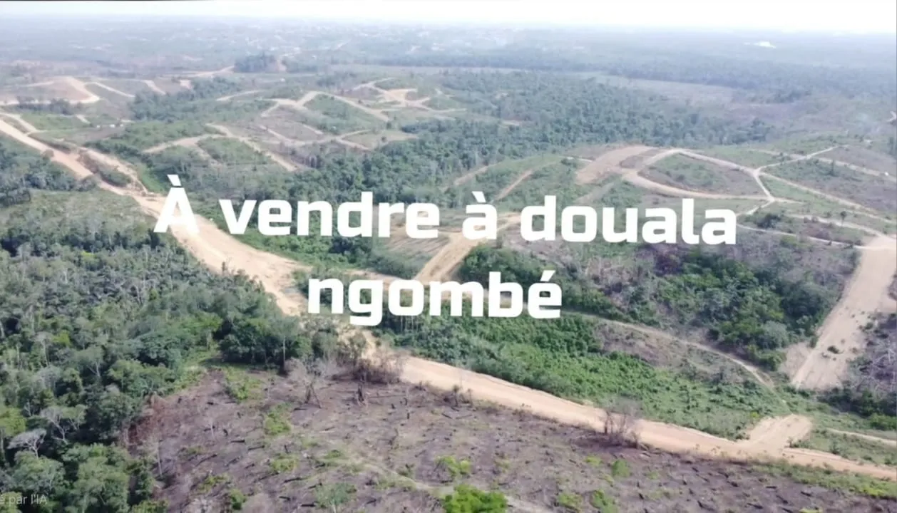 Nouveau lotissement de terrain titre a vendre a douala 5eme quartier ngombe — Léa immobilier au Cameroun