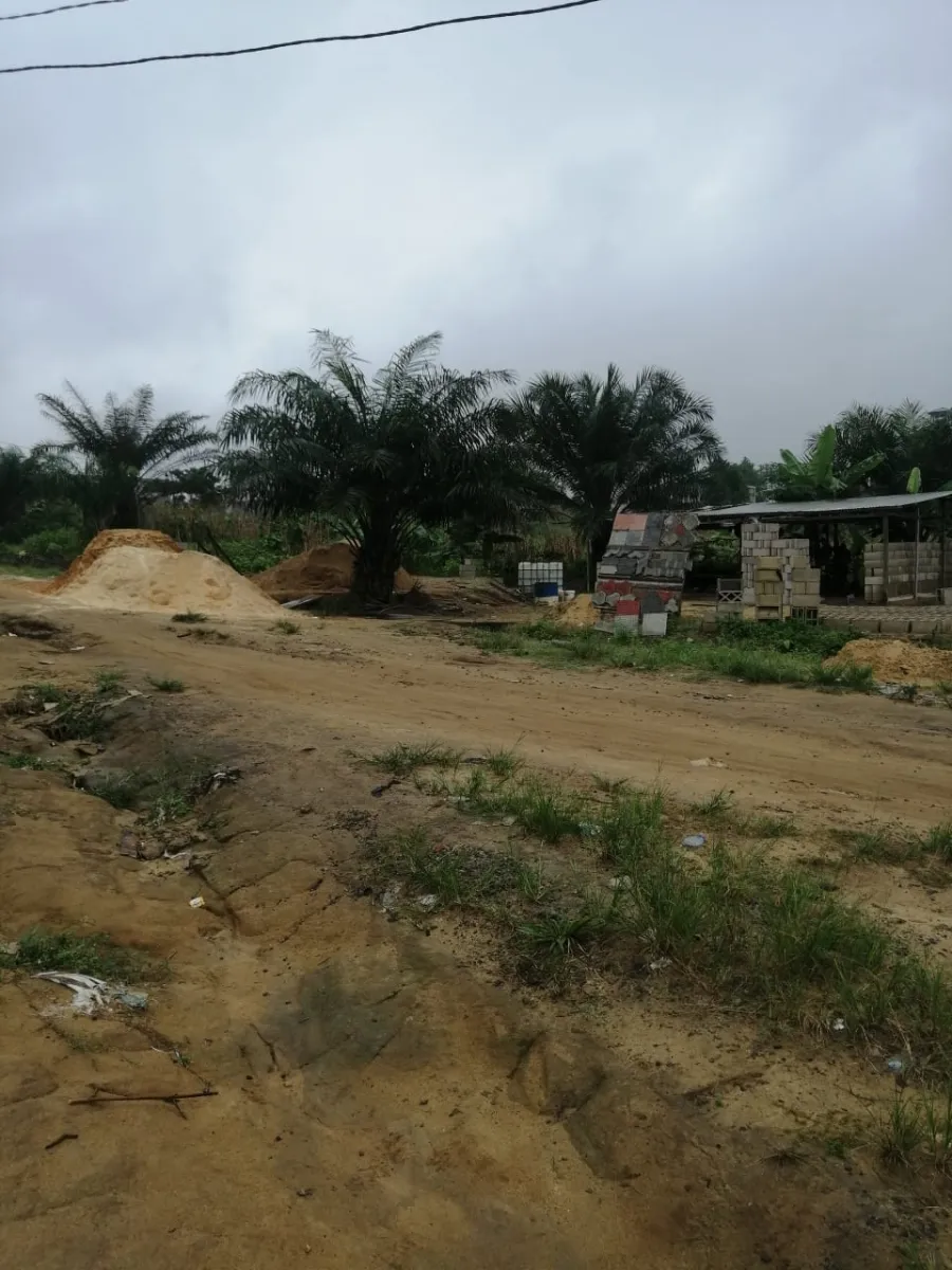 Terrain titré à vendre à japoma 2 hectares — Léa immobilier au Cameroun